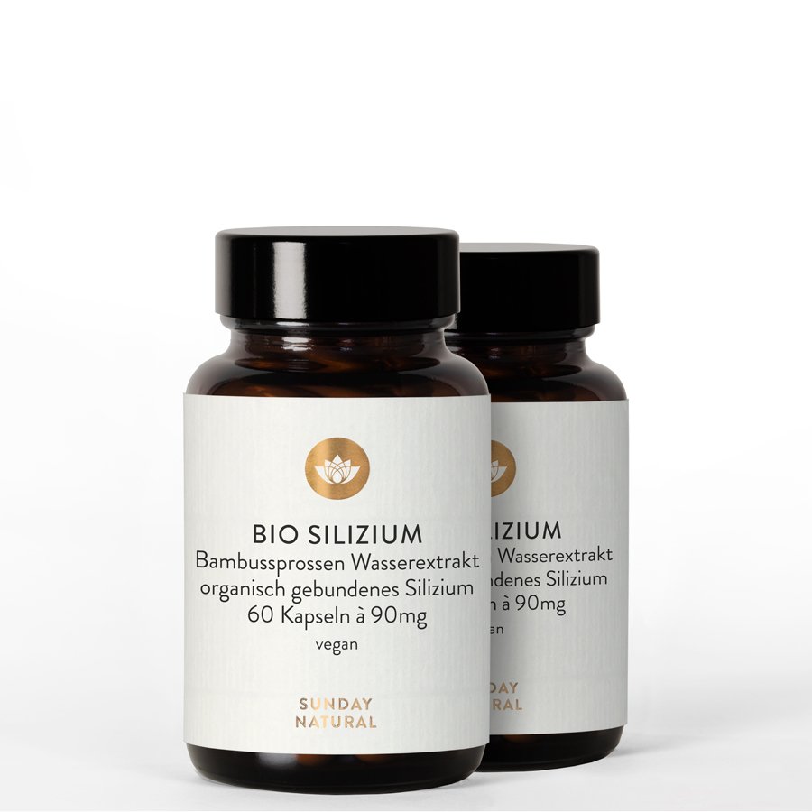 Bio Silizium organisch aus Bambus Extrakt 2x60 Kapseln kaufen