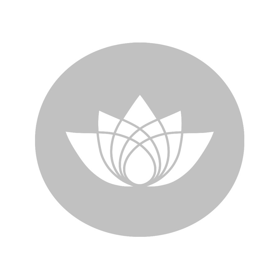 Schwarzes Maca Pulver Bio Kaufen Superfood Spezialist