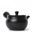 Kyusu Tokoname Kasen