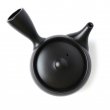 Kyusu Tokoname Kasen