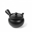 Kyusu Tokoname Kasen