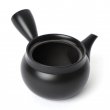 Kyusu Tokoname Kasen