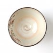 MATCHA BOWL KYO NO AKI 京の秋