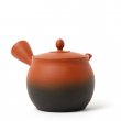 Kyusu Tokoname Gyokko Yohen