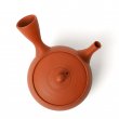 Kyusu Tokoname Gyokko Yohen