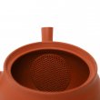 Kyusu Tokoname Gyokko Yohen