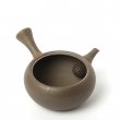 Kyusu Tokoname Gafu Mogake