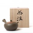 Kyusu Tokoname Gafu Mogake