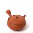 Kyusu Tokoname Gafu Hira-Maru #1