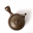 Kyusu Tokoname Gafu Kame #1