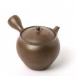 Kyusu Tokoname Gafu Kame #1
