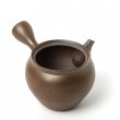 Kyusu Tokoname Gafu Kame #1