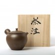 Kyusu Tokoname Gafu Kame #1