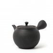 Kyusu Tokoname Hōryū Daian-Ji Lefty