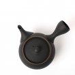 Kyusu Tokoname Hōryū Daian-Ji Lefty