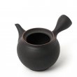 Kyusu Tokoname Hōryū Daian-Ji Lefty