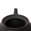 Kyusu Tokoname Hōryū Daian-Ji Lefty