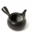 KYUSU TOKONAME HIRAAMI