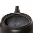KYUSU TOKONAME HIRAAMI