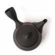 KYUSU TOKONAME HŌRYŪ SENDAN
