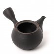 KYUSU TOKONAME HŌRYŪ SENDAN