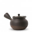 Kyusu Tokoname Gyokko Sendan