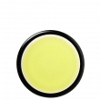 Organic Sencha Makizono Saemidori