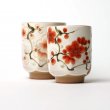 Teetassen Set Japan Tōan Ume Yunomi 2er Set