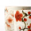 Teetassen Set Japan Tōan Ume Yunomi 2er Set
