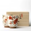 Teetassen Set Japan Tōan Ume Yunomi 2er Set