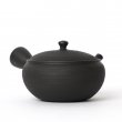 Kyusu Tokoname Gyokko Hira