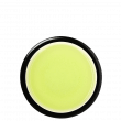 Mizudashi Sencha Chiran Yutakamidori Bio