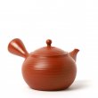 Vintage Kyusu Tokoname Gyokko Sendan