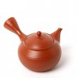 Vintage Kyusu Tokoname Gyokko Sendan