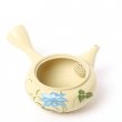 Vintage Kyusu Tokoname Gyokko Tessen