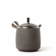 Vintage Kyusu Tokoname Shunzan Notauchi