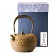 Tetsubin Iwachu Kikko Cha-Jiru