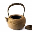 Tetsubin Iwachu Kikko Cha-Jiru