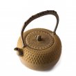 Tetsubin Iwachu Kikko Cha-Jiru