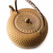 Tetsubin Iwachu Kikko Cha-Jiru