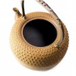 Tetsubin Iwachu Kikko Cha-Jiru