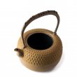 Tetsubin Iwachu Kikko Cha-Jiru
