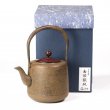 Tetsubin Iwachu Hada Cha-Jiru