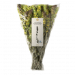 Titan Mountain Tea Bio