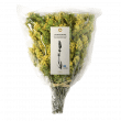Organic Olympus Mountain Tea