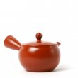 Kyusu Tokoname Fukamushi Aka