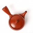Kyusu Tokoname Fukamushi Aka