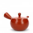 Kyusu Tokoname Fukamushi Aka