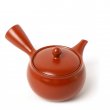 Kyusu Tokoname Fukamushi Aka