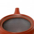 Kyusu Tokoname Fukamushi Aka